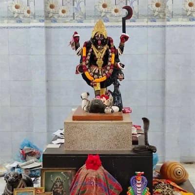 The idol of the merciful Mother Kali at Kriparamayi Kali Mandir